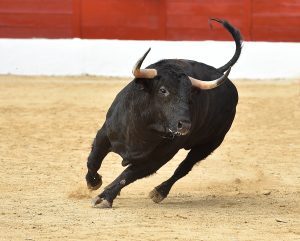Zajímavosti o Španělsku Běh s býky