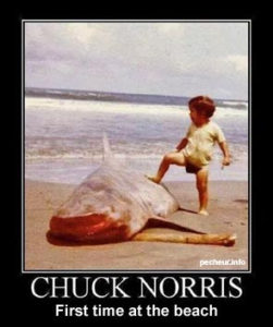 Chuck Norris dowcipy czarny humor