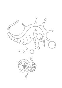 Kreslené omalovánky Mořský koník