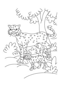 Omaľovanka gepard