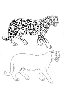 Omalovánky gepard