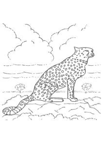 Omaľovanka gepard 