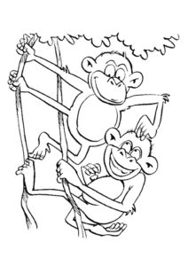 Omalovánky opice pro děti
