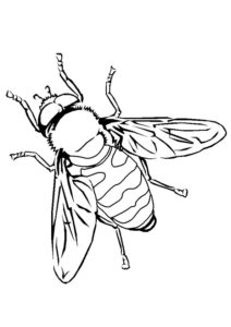 Kreslená včela