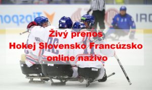 Živý prenos Hokej Slovensko Francúzsko online naživo MS2022