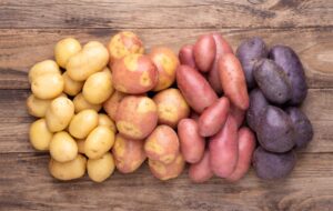 11 najlepszych odmian ziemniaków do uprawy domowej