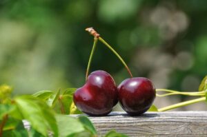 Pueden ser beneficiosas para la salud del corazón - Por qué comer cerezas