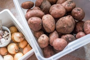 Sprawdzanie tacek na ziemniaki i cebulę