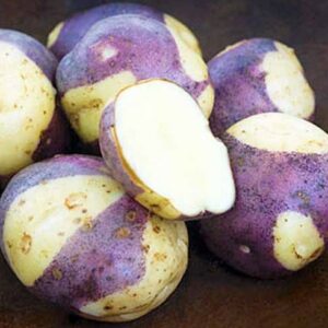 7. Masquerade - Nejlepší odrůdy brambor