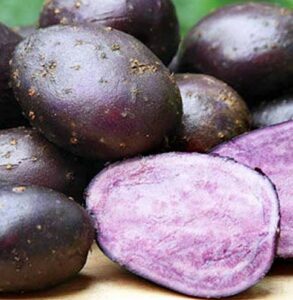 9. Purple Majesty - Najlepšie odrody zemiakov