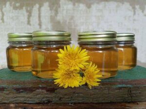 Púpavový med účinky
