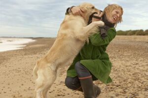Använd koppel och halsband -Hur man lär en hund att hoppa
