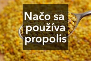 Vad används propolis till?