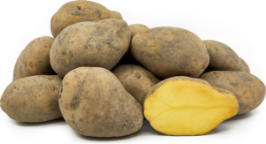 Agria potatis