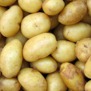 Chuť - brambory Agria