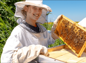 Získavanie produktov včelstva