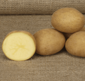 Smak och användning av Marabel-potatis