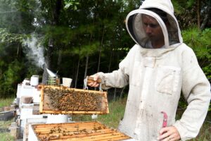 Na každou návštěvu včelstva se důkladně připravte.