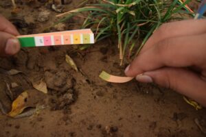 Laboratórne testy pH pôdy - Ako zistiť pH pôdy