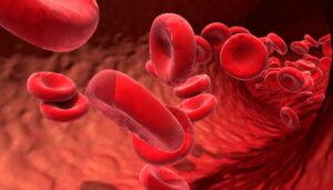 Blodceller: vad som bildas i benmärgen