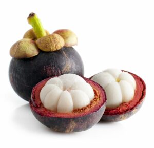 Mangostan - En blommande fruktskatt