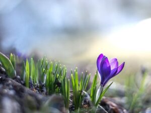 Tradičné sviatky spojené s príchodom jari