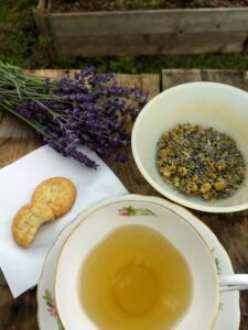 Antioxidantová ochrana - Na čo sa používa majoránkový čaj