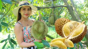 Durian - Kráľ exotického ovocia