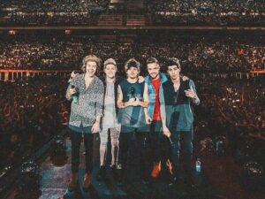 Úspěch v soutěži The X Factor - One Direction Fakta