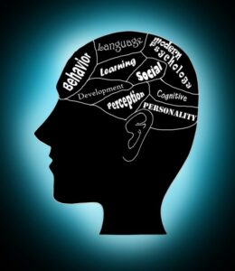 Zaujímavosti o mozgu a mysli