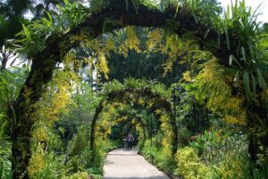 Singapore Botanic Gardens - Singapur zaujímavosti