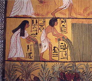 Vývoj písma - zajímavosti ze starověkého Egypta