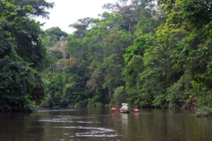 Kanoistika v Amazonii - zajímavosti Kolumbie