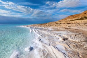 Unikátna flóra a fauna - Mŕtve more zaujímavosti