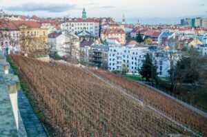 Vinohrady - Praha zaujímavosti