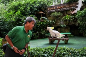 Ptačí park Jurong