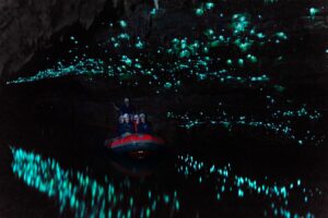 Waitomo Glowworm Caves - Nový Zéland zaujímavosti