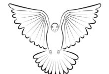 Holubica symbol