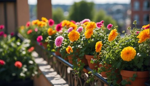 Pestovanie na Balkóne - Ťahavé kvety