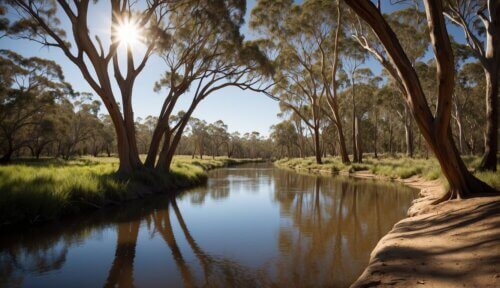 Využitie rieky Murray - Najdlhšia rieka Austrálie