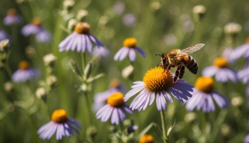 Význam včiel v ekosystéme